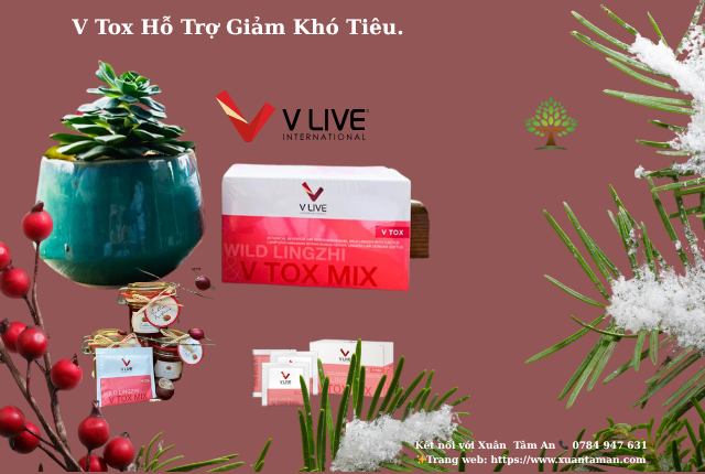 V Tox Đánh giá từ người dùng thực tế